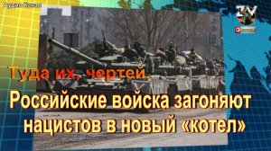 Российские войска загоняют нацистов в новый «котел»