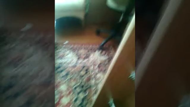 Квест для мамы смотреть онлайн