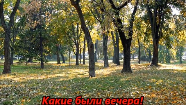 МОЙ ПАРК! смотреть онлайн