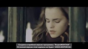 Драмиона. Платина и Шоколад