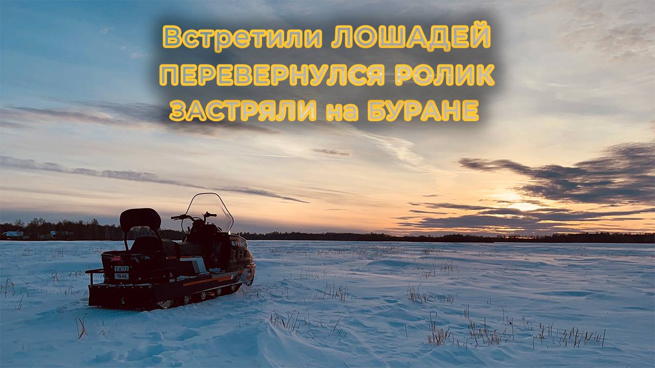 БУРАН ЛИДЕР АДЕ | ЛОШАДИ + Перевернулся РОЛИК | Покатушка на снегоходе БУРАН смотреть онлайн