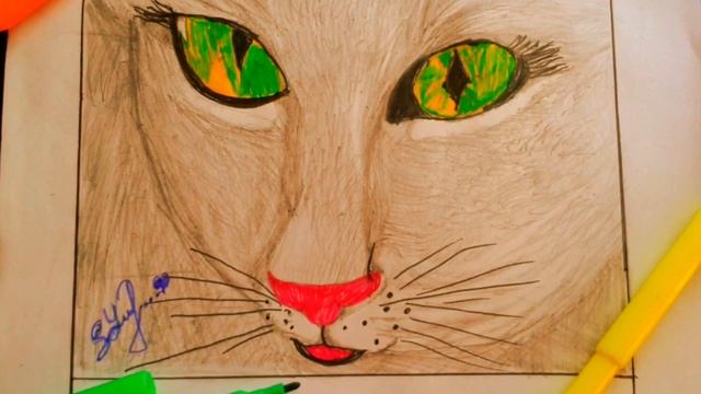 мои рисунки.