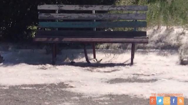 Пух мешает жить смотреть онлайн