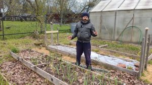 Подкормка чеснока весной после зимы. Как легко и просто получить богатый урожай чеснока.