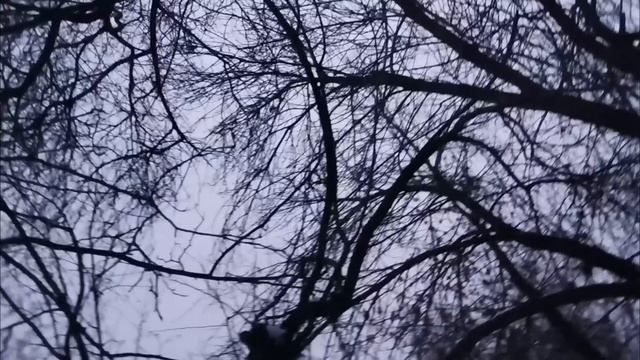 УТРО