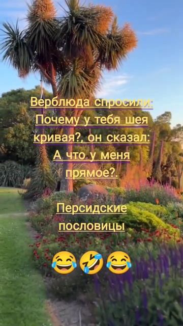 Персидские пословицыВерблюда спросили: Почему у тебя шея кривая?, он сказал: А что у меня прямое?. смотреть онлайн