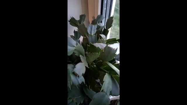 что происходит? общение смотреть онлайн