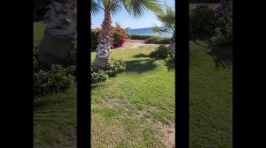 Обзор отеля The Three Corners Equinox beach Resort