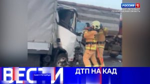 Вести Санкт-Петербург. Выпуск 11:30 от 05.02.2025