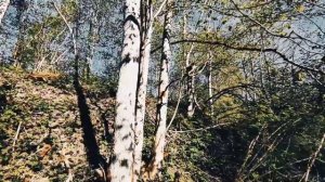 VID 20240518 205106 Брод на реке Кабул (Редьярд Киплинг)...Павел Васильев Лахтинский