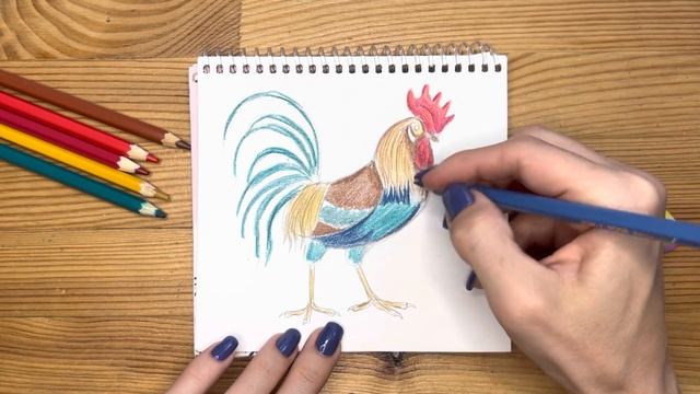 Как нарисовать петуха цветными карандашами | Рисунок поэтапно для детей