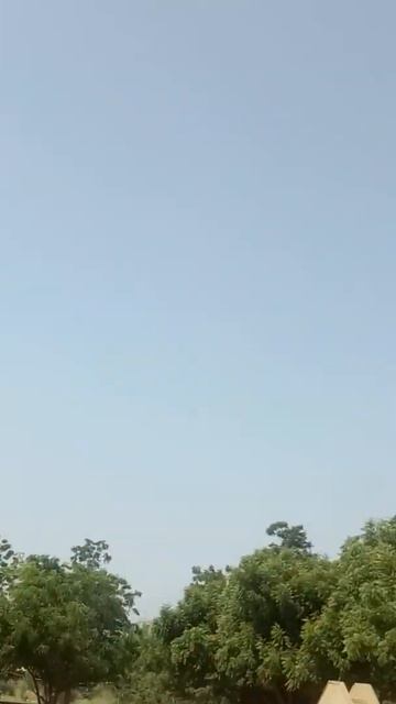 Cricket top sixer styles. ।। Dns sports club ।। #Dns_Sports_Club смотреть онлайн