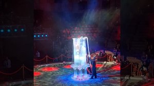 Пермский Цирк - шоу воды огня и света