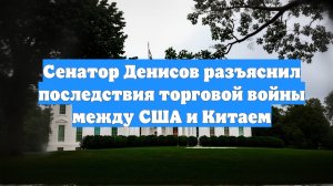 Сенатор Денисов разъяснил последствия торговой войны между США и Китаем