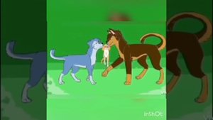 Гонщик и Сильвия