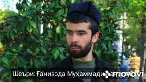 бо садои кори Алишер