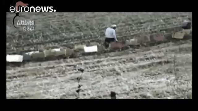 В Италии задержаны привлекавшие к работе нелегальных мигрантов смотреть онлайн