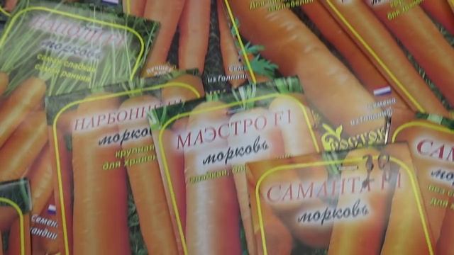 А какую морковь посеять весной?Обзор семян.