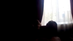 Проклятая собака и проклятый бегемот