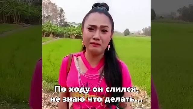 Когда Степан потерялся 🤣🤣🤣🤣#shorts #юмор #приколы