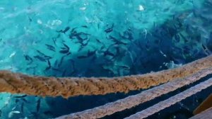 KEFALUKA RESORT BODRUM TURKEY 2019 #TURKEY