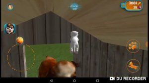 Как отобрать ключ от собаки симулятор коты