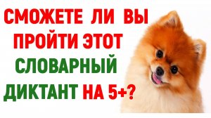 СЛОВАРНЫЙ ДИКТАНТ 💛тест #русскийязык