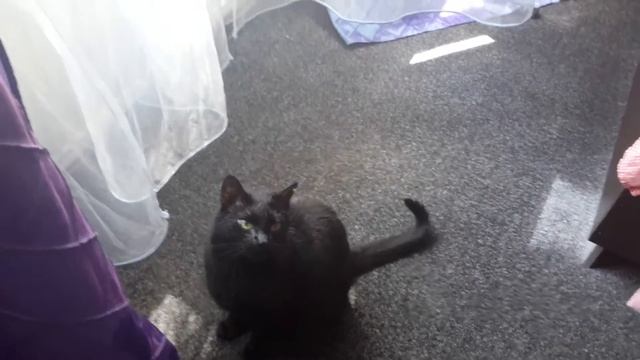 Джим пьет воду из бутылки смотреть онлайн