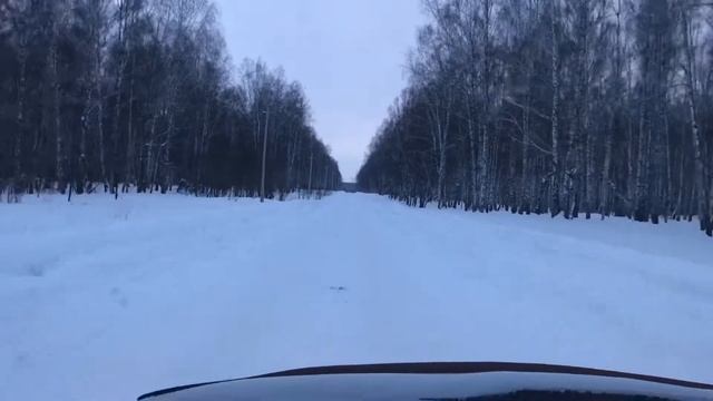 Лес Дорога Зима смотреть онлайн