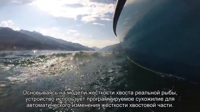 Новый робот-тунец может плавать быстрее за счет хвоста с динамичной жесткостью смотреть онлайн