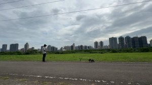 RADIOMASTER TX16S MKII MAX Rotorflight FlyDragonF722 V2.2 test flight