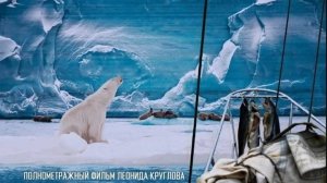 В Арктику  Into the Arctic 2024