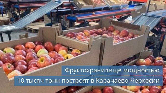 Контроллеры EKF RX500 для систем HVAC / Фруктохранилище в КЧР / Дата-центр в Москве смотреть онлайн