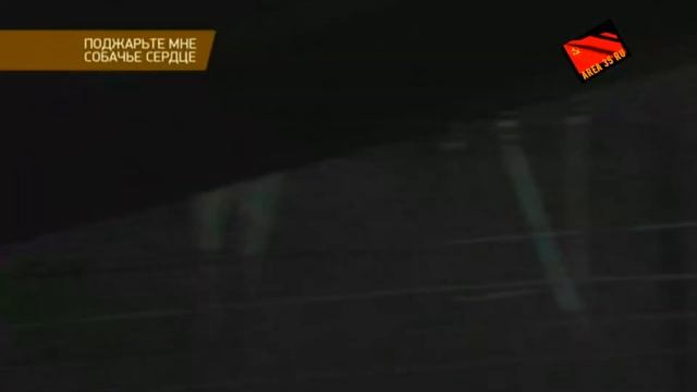 «День сенсационных материалов с Игорем Прокопенко »Поджарьте мне собачье сердце!!!!! смотреть онлайн