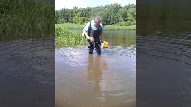 Нептун дарит находку на пляже