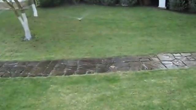 автополив фирмы Hunter спреи(в работе) смотреть онлайн