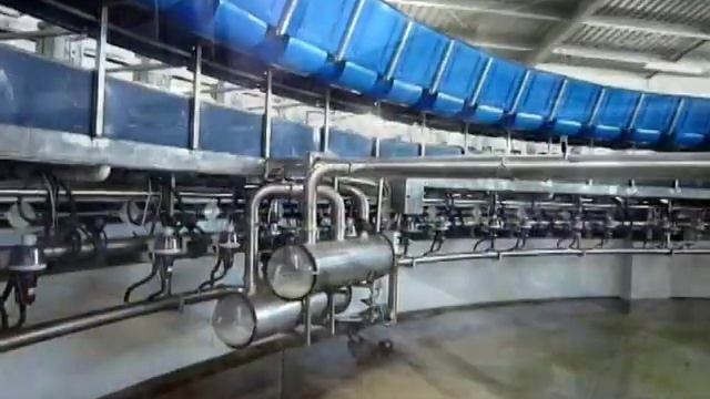 InterPuls iMilk700 on a Rotary Milking Machine in NZ.mpg смотреть онлайн