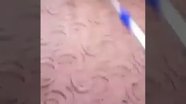 Универсальная швабра гренвей 87055599911 смотреть онлайн