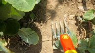 Zuhause mit WOLF-Garten | Blumengabel (LU-GM)
