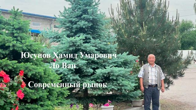 Юсупов Хамид Умарович (Ло Ван) - Современный рынок смотреть онлайн