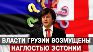 Власти Грузии возмущены наглостью Эстонии