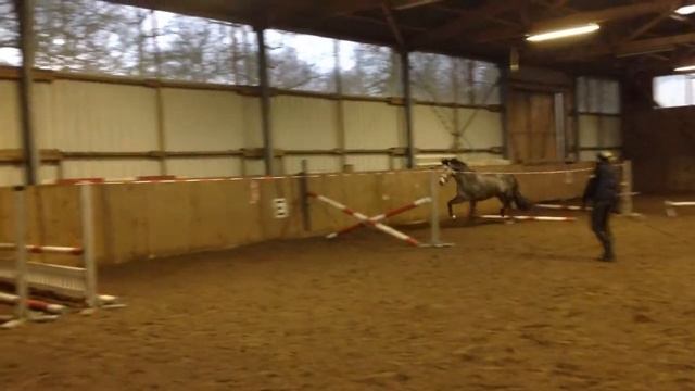 De Martino Matcho 3 J Crash 09012015 210237 смотреть онлайн