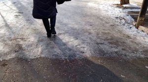 ужасный день со слезами 😭😩😫
Лора уmerla 😭
купили нового попугайчика 😞
назвали Майя😊