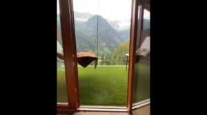 COME E STRANA LA VITA SILVIA   SD 480p