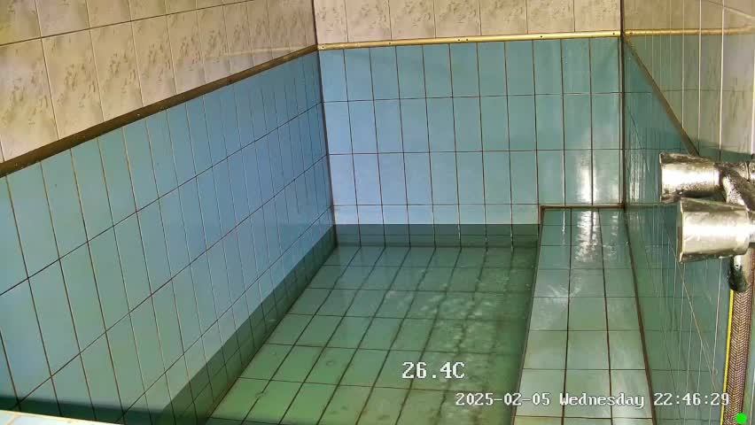 LIVE Брестский аист ЭФИР БАССЕЙН ШИПУЛЬКИ