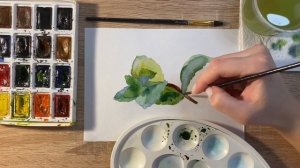 Как нарисовать мяту карандашом и акварелью начинающим | Рисунок для детей