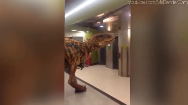 ЛУЧШИЕ ПРИКОЛЫ 2015 НОЯБРЬ! САМЫЕ СМЕШНЫЕ ПРИКОЛЫ Выпуск 41 смотреть онлайн