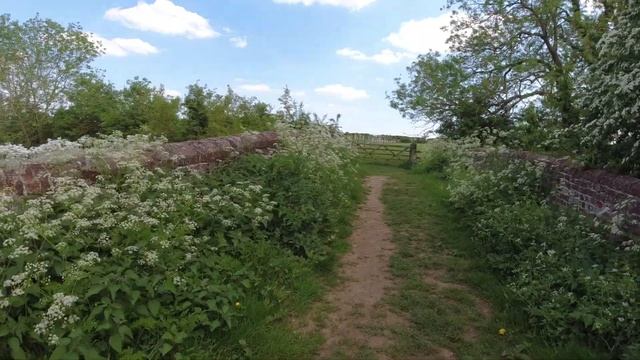 Canal Locks and boats, and a wonderful walk with Drone footage. #Canalboats #Drone #Vanlife смотреть онлайн