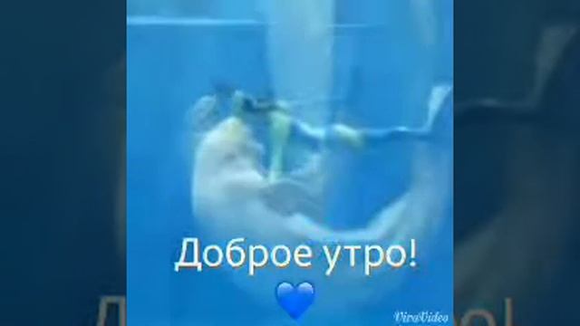 9 февраля 2018 г. смотреть онлайн