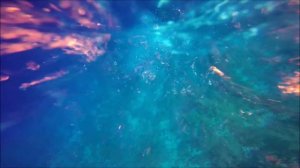 Красное море 2018